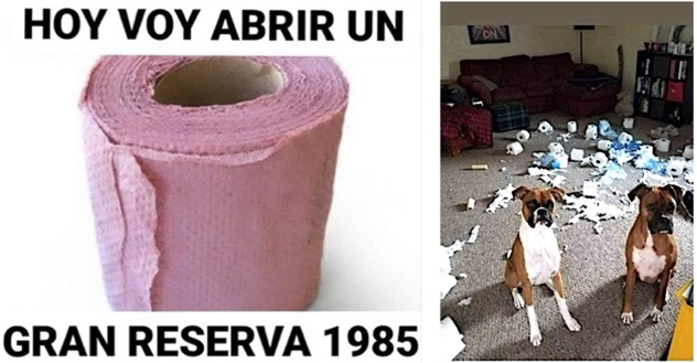 Objeto papel higi&eacute;nico